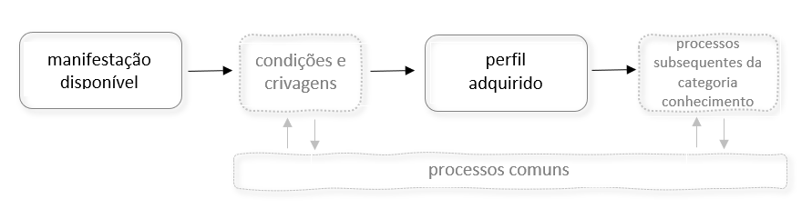 Figura 3 – Processos comuns que podem atuar em diferentes instâncias (Manifestação - Perfil adquirido - Conhecimento)